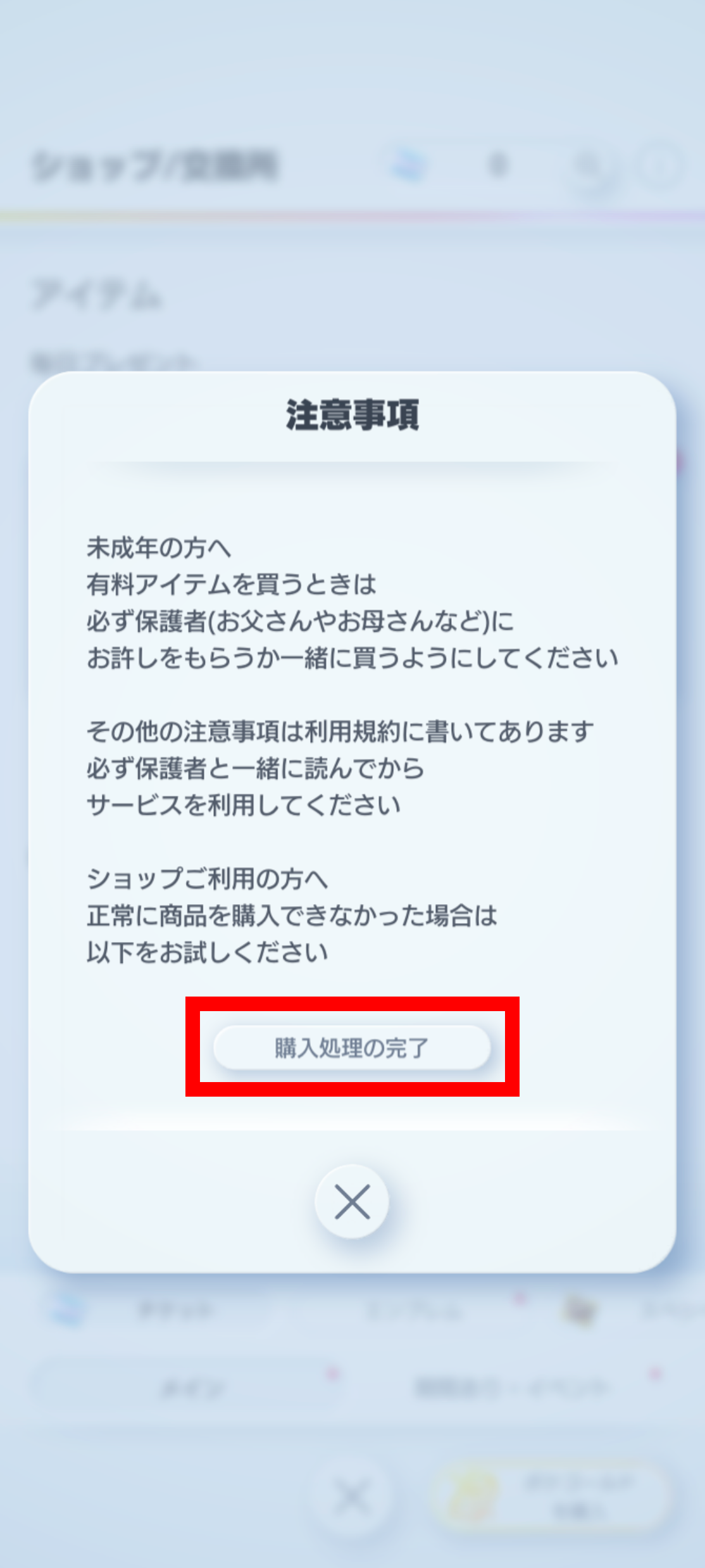 1_購入処理の完了(ショップ交換所)_3.png