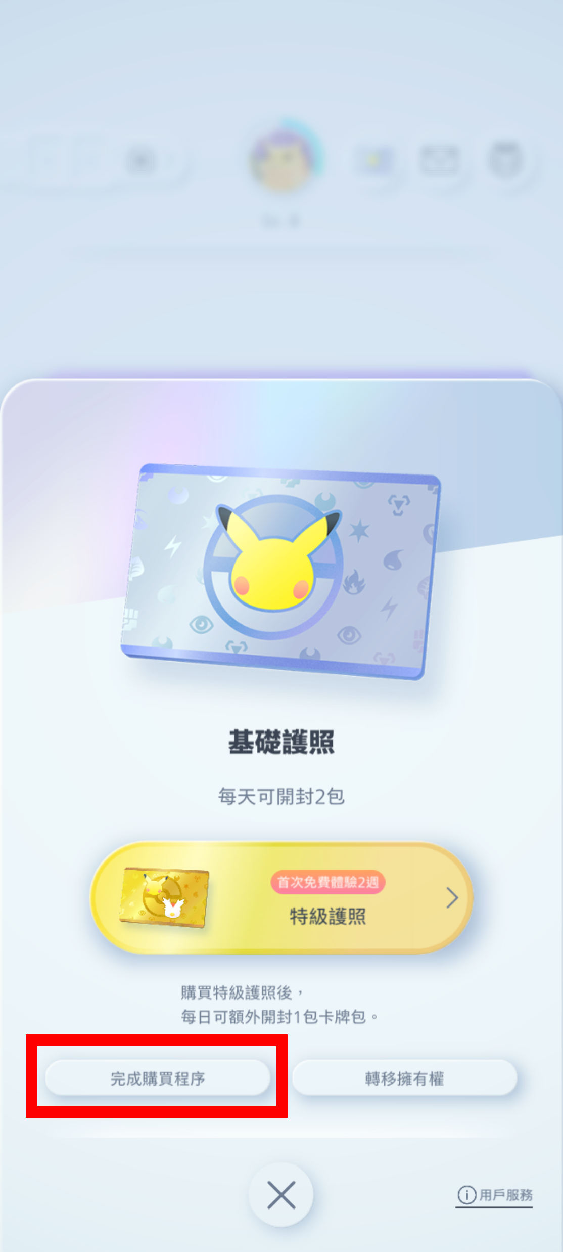2_購入処理の完了(パス画面)_2.png